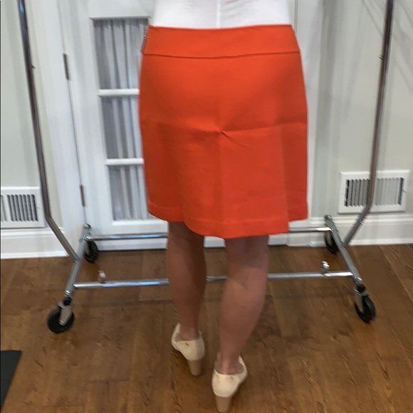 Skirt - Picture 2 of 3